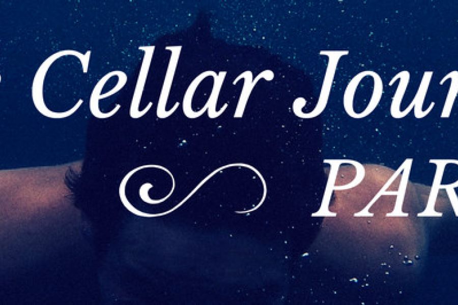 The Cellar Journey Part 3