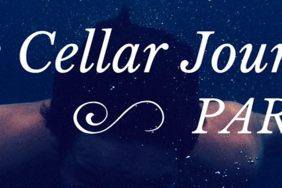 The Cellar Journey Part 3