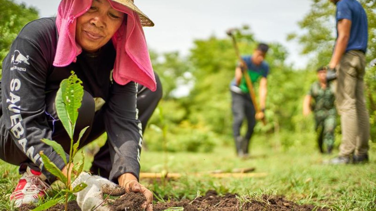 woman gardening