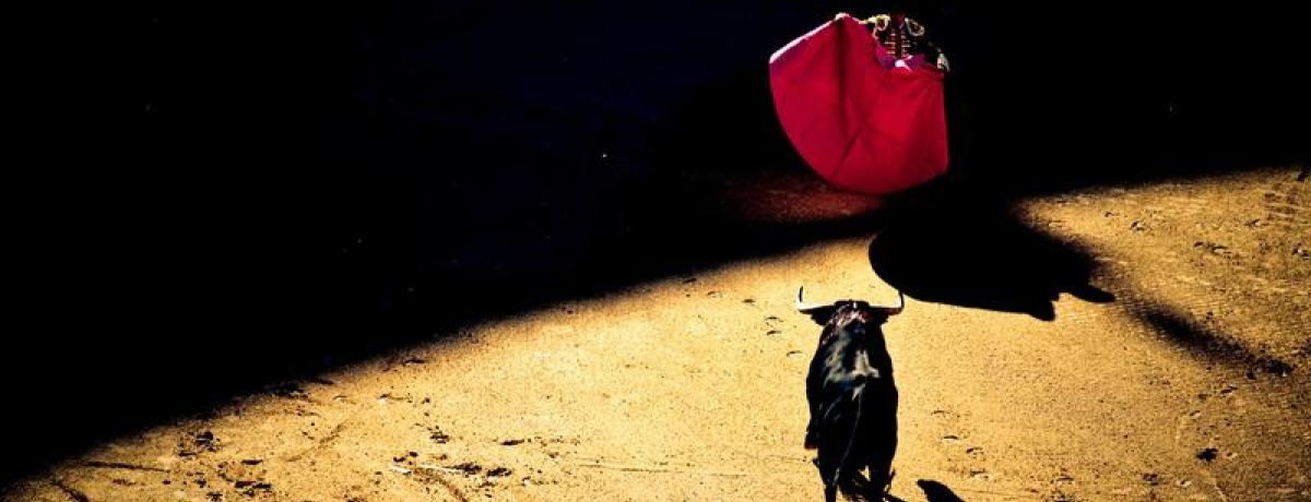 Matador Bull Fighter