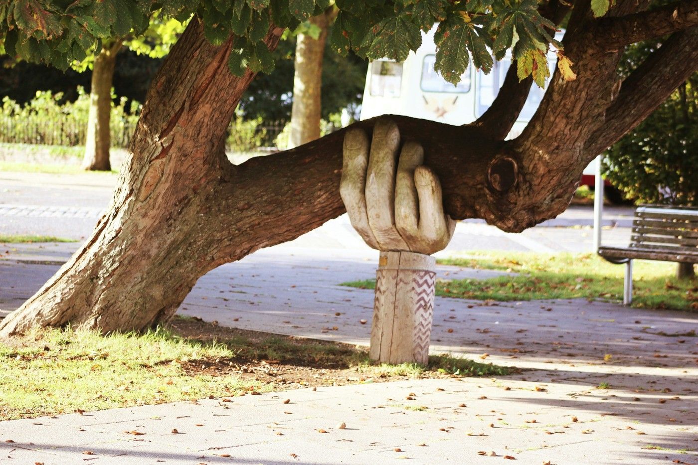hand holding a tree up