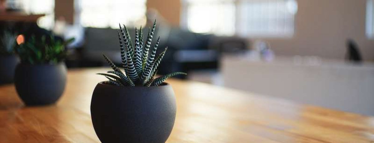 Four Simple But Powerful Ways To Make Our Home & Work Better