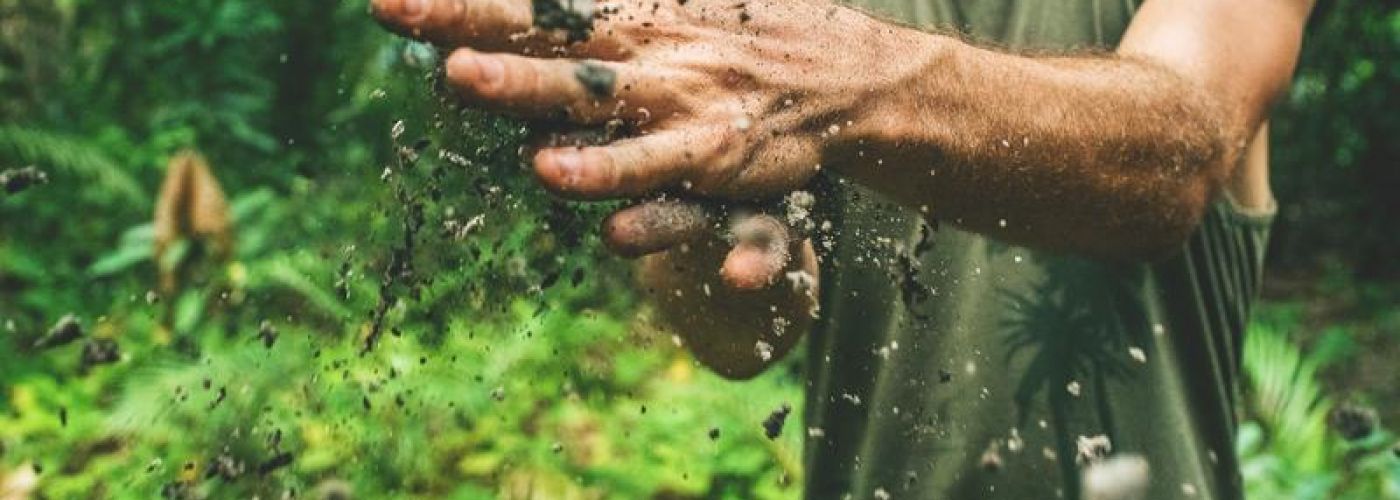 man rubbing dirt together in hands in forest