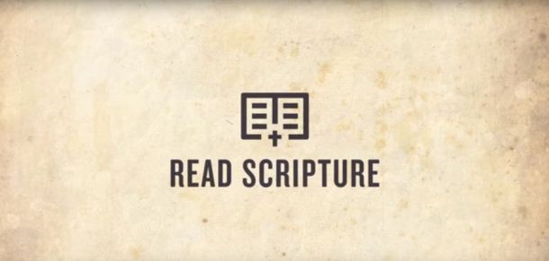 The Bible Project Read Scriptures