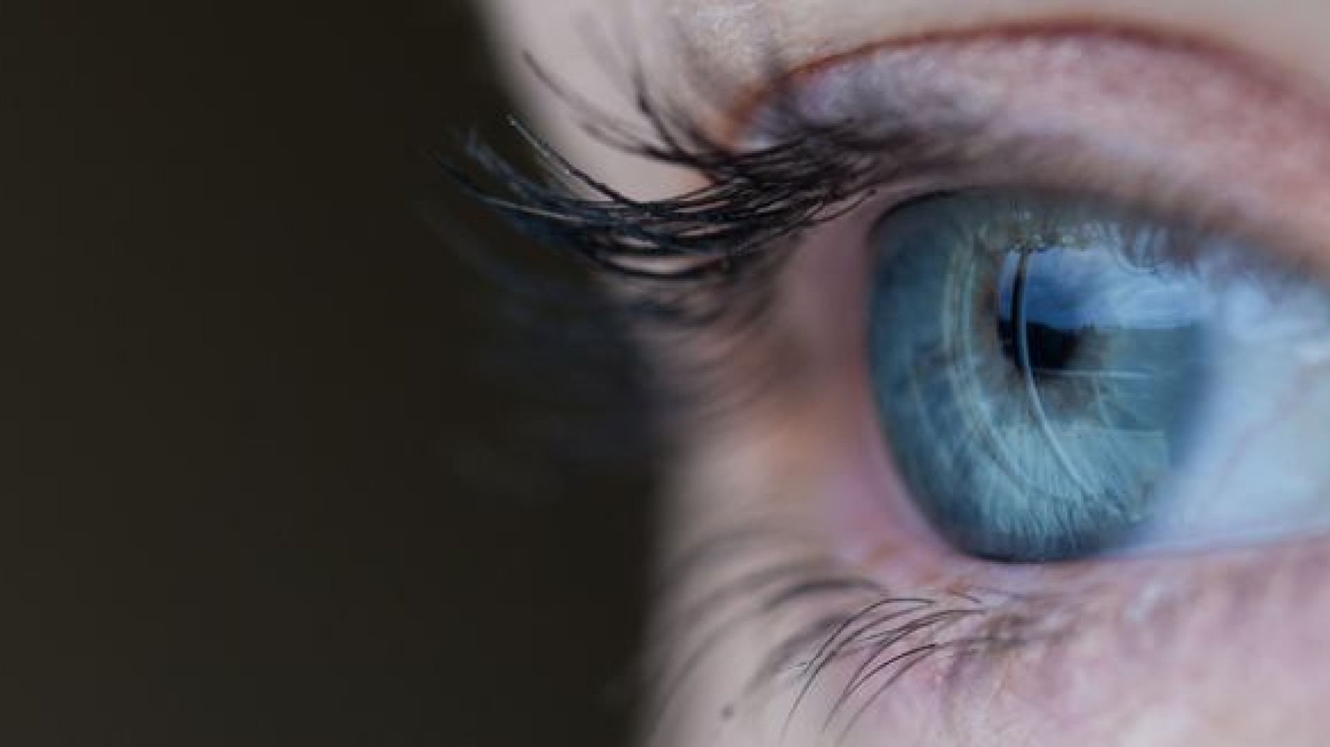 How to Move Forward When Your Startup Lacks Clear Vision